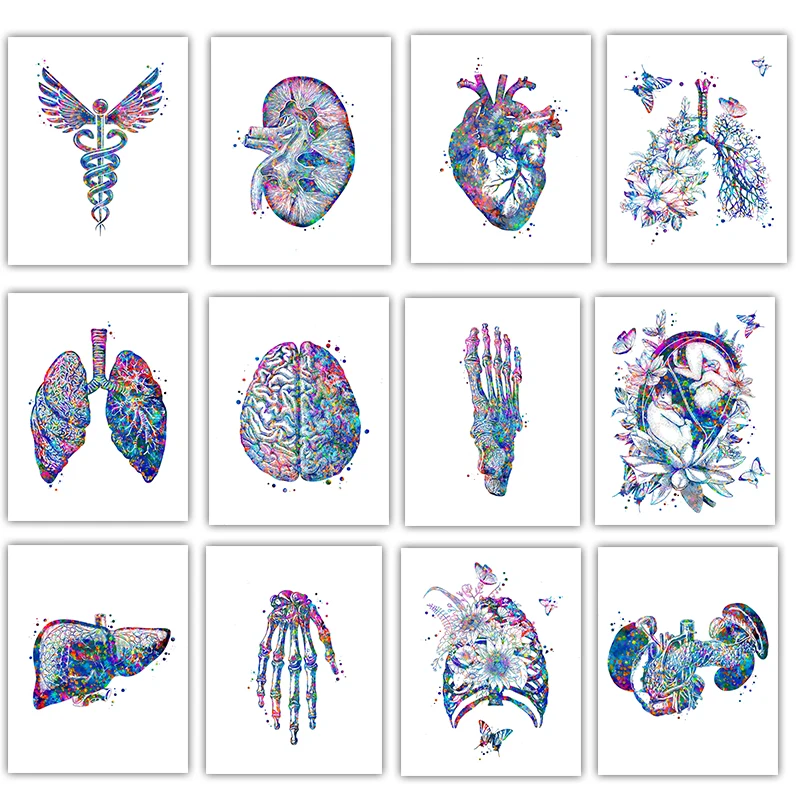 Medical Lab Pictures - Anatomie Medische Poster Bloem Orgaan Muurkunst