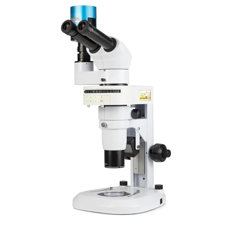 Medical Lab Observer - Fluorescentiemicroscoop zebravis-nematode observatie levenswetenschappen medisch laboratorium