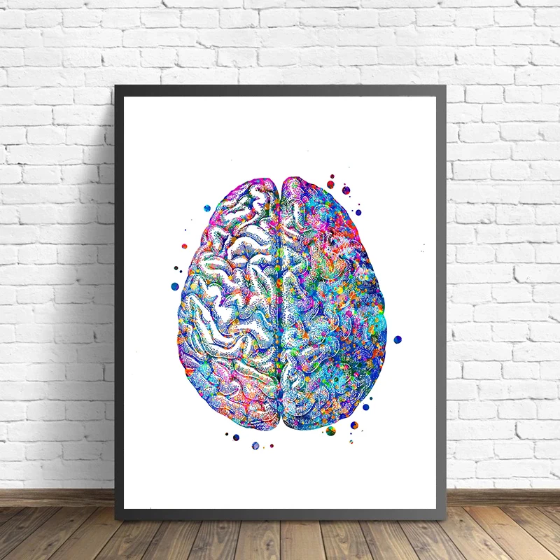 Anatomy Medical Poster Flower  - Medical Lab Pictures recensie en prijs