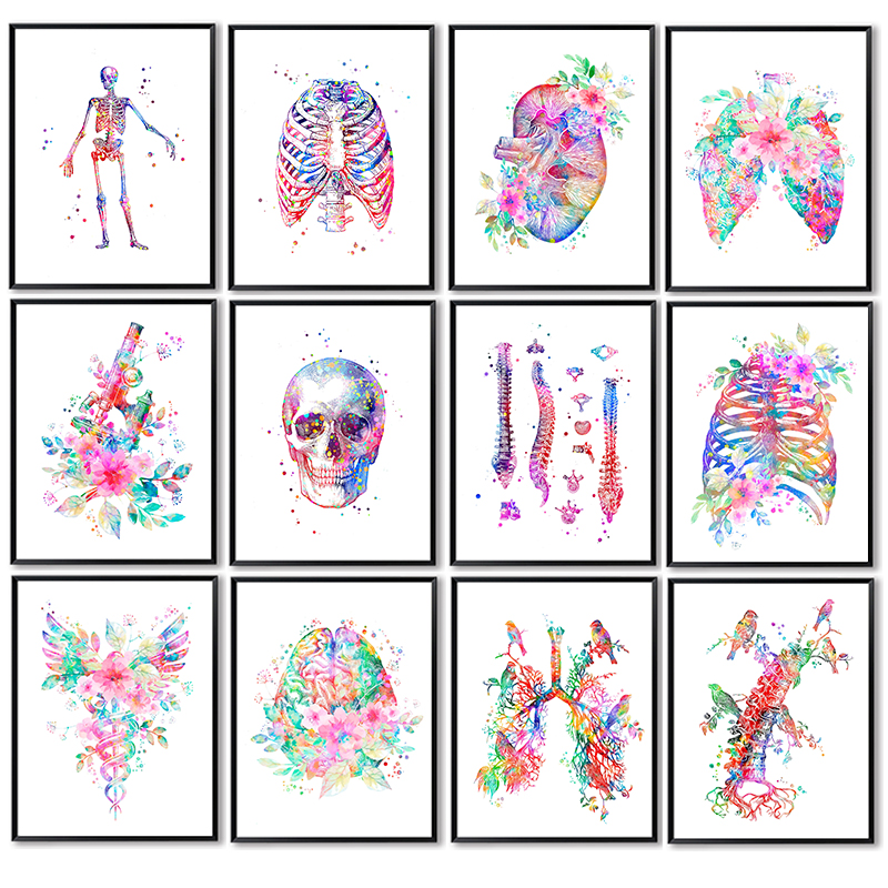 Unframe Anatomie Medische Post - Medical Lab Pictures recensie en prijs