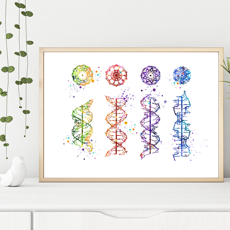 DNA Molecuul Print Moderne Med - Medical Lab Pictures recensie en prijs